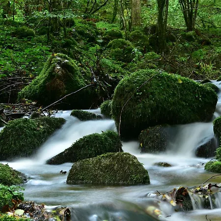 Schwalbennest