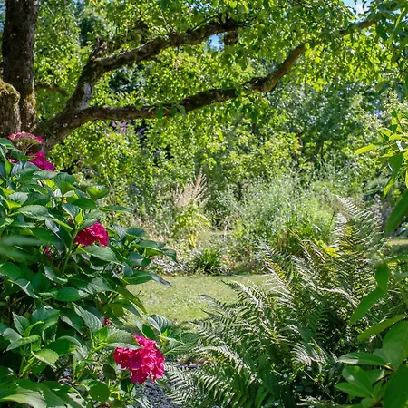 Schwalbennest Badenweiler