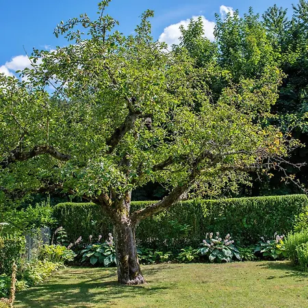 Schwalbennest * Badenweiler