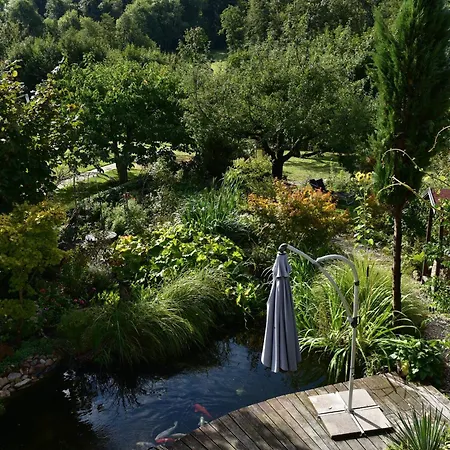 Schwalbennest بادنويلر