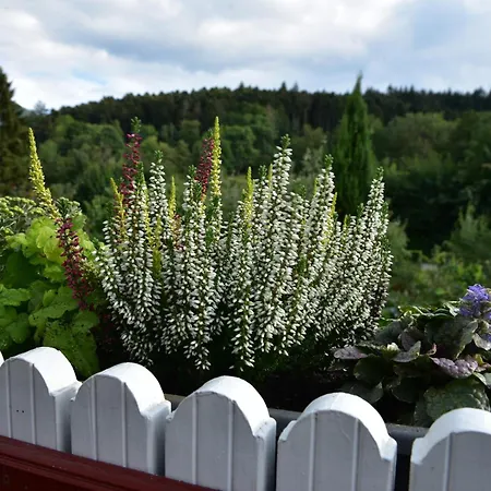 شقة Schwalbennest *