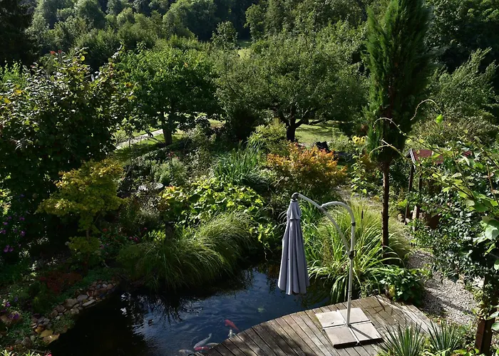 Schwalbennest بادنويلر