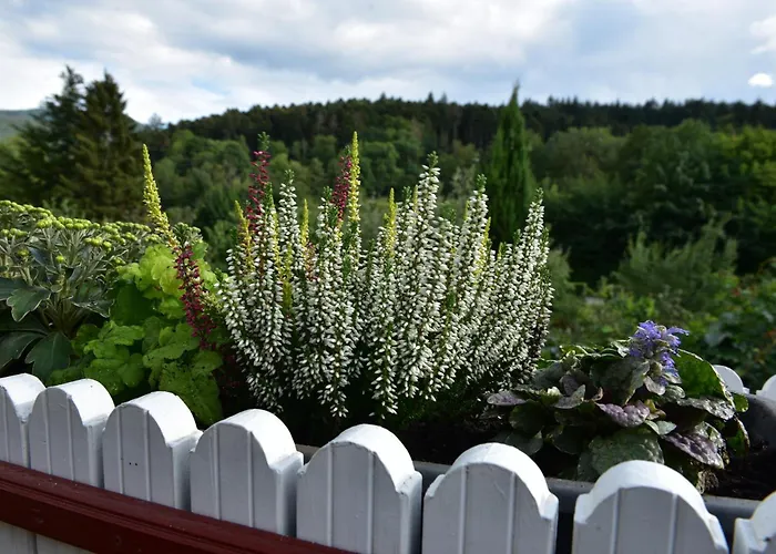 شقة Schwalbennest *