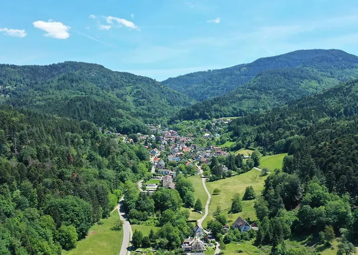 Schwalbennest بادنويلر