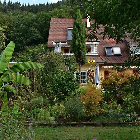 Apartment Schwalbennest *