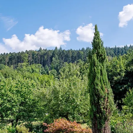 Schwalbennest 公寓 *