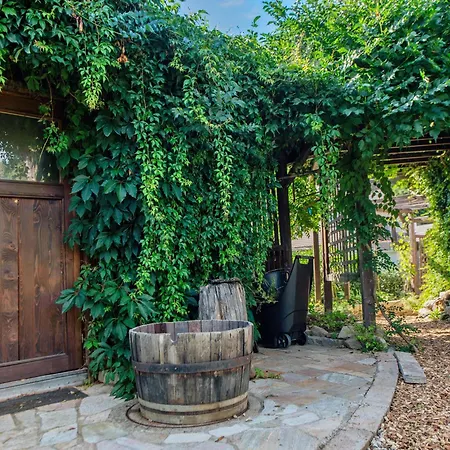 Schwalbennest 公寓