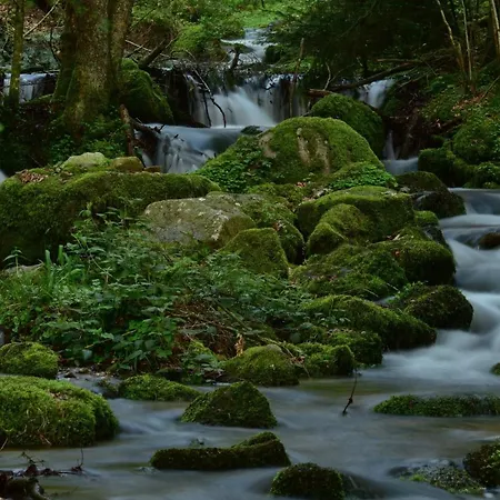 公寓 Schwalbennest *