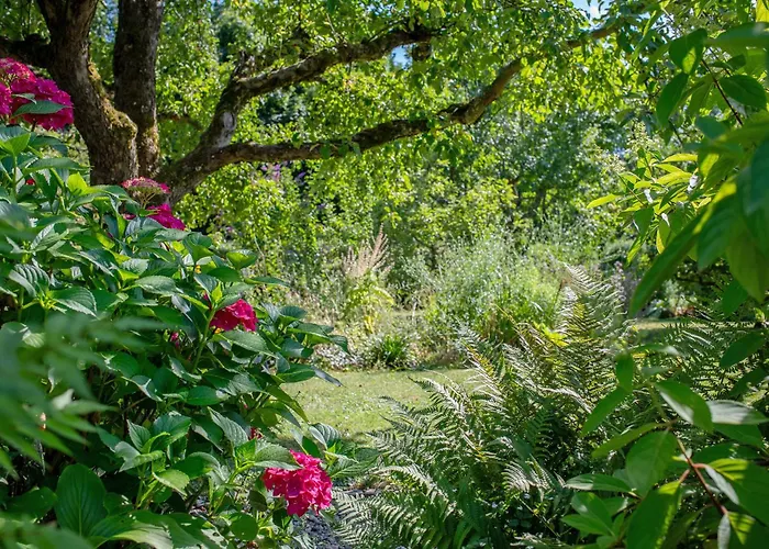 Schwalbennest Badenweiler