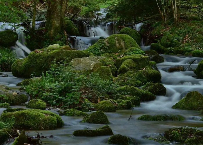 Lejlighed Schwalbennest *